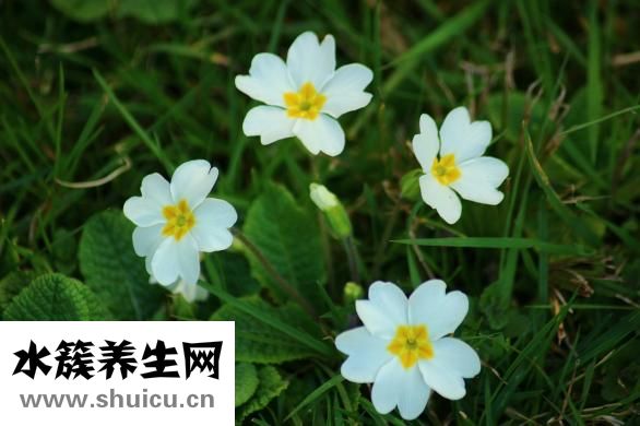 頭暈做什么檢查