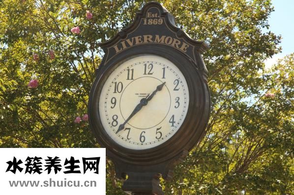 怎樣鹵豬頭肉