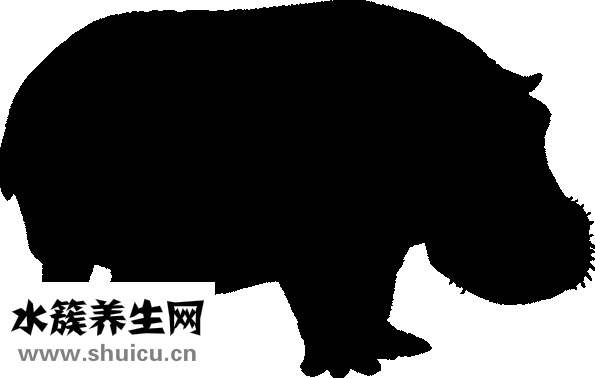 塌鼻子圖片