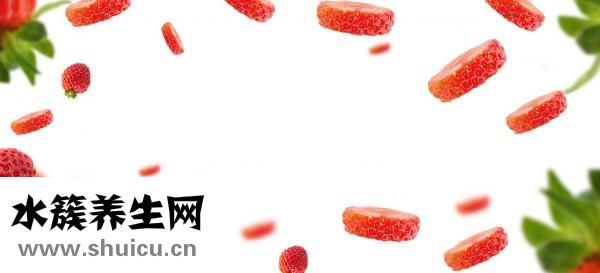 女性脫發食療