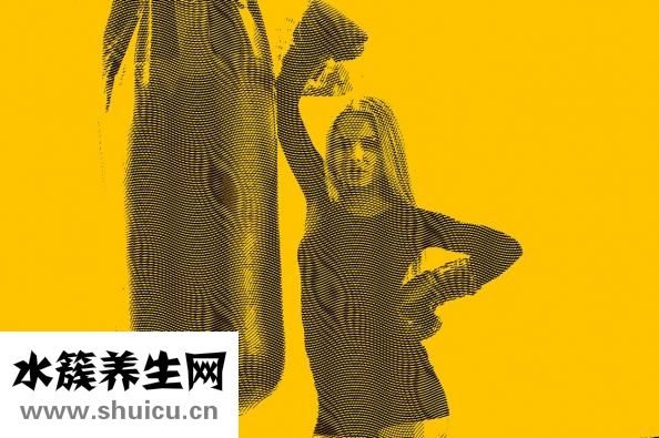我的瘦身食譜