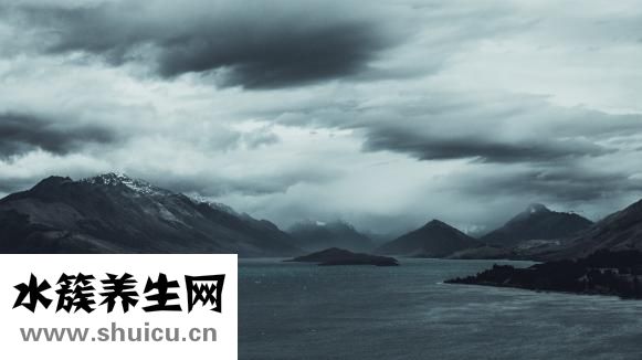 辣木籽功效
