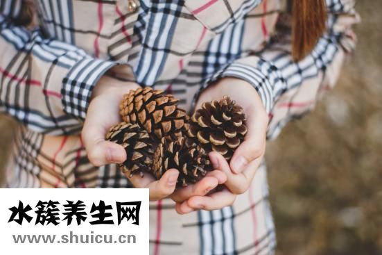 鐵和鹽酸反應