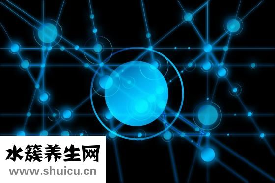 跆拳道好處
