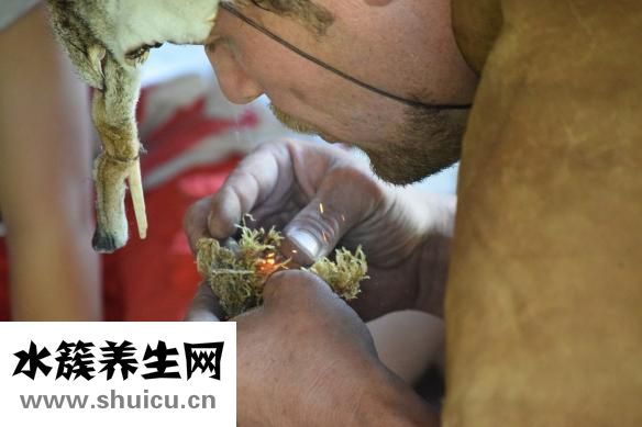 消化系統疾病