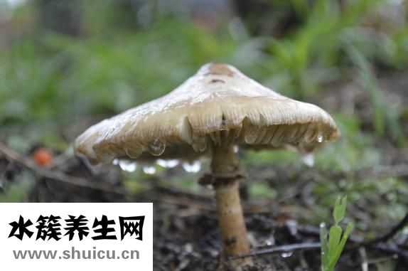 硝酸銀溶液