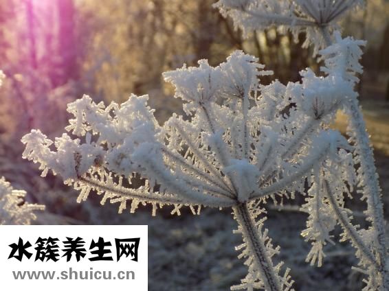 新冠防疫知識