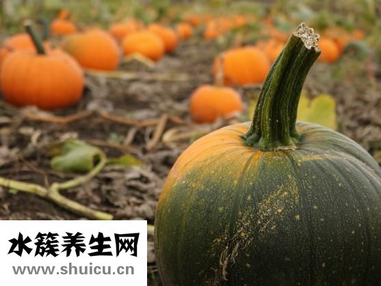 篩竇炎癥狀