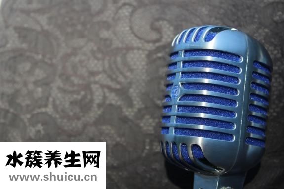 炸雞裹粉是什么粉