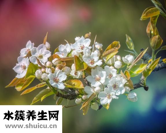 運動后吃香蕉