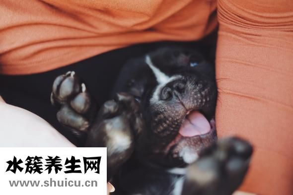 舌頭有黑點