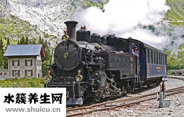 腸結核好發部位