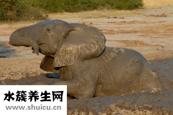 生化妊娠癥狀