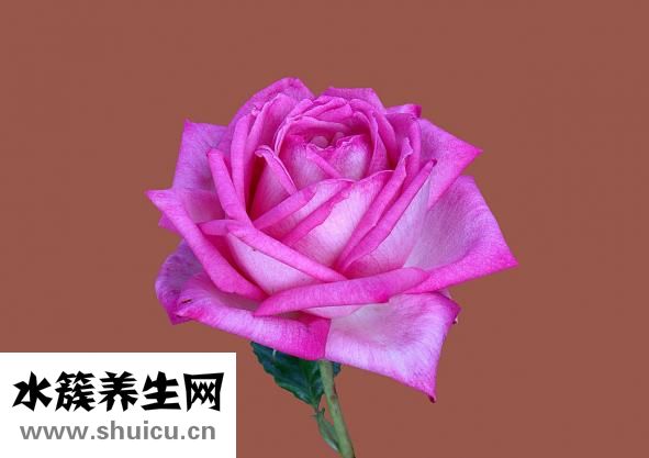 眼袋眼皺紋