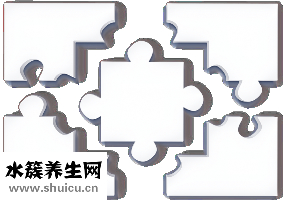 髂嵴怎么讀