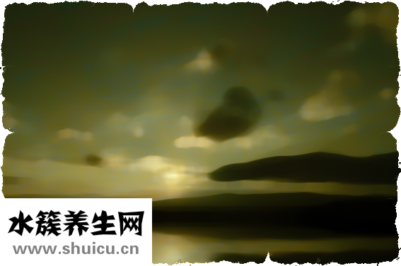運動后拉伸