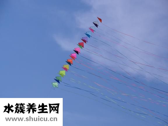 蛇酒能壯陽嗎