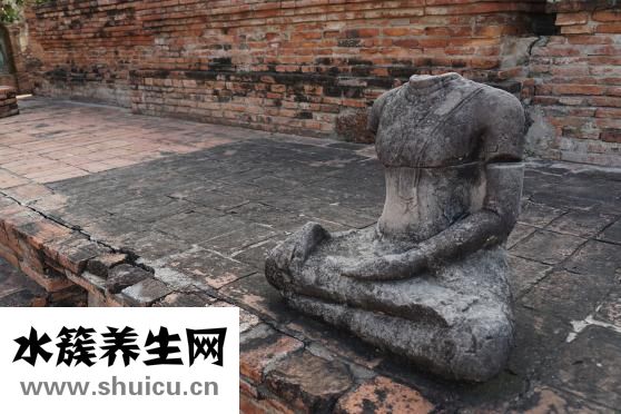 水果釋迦果