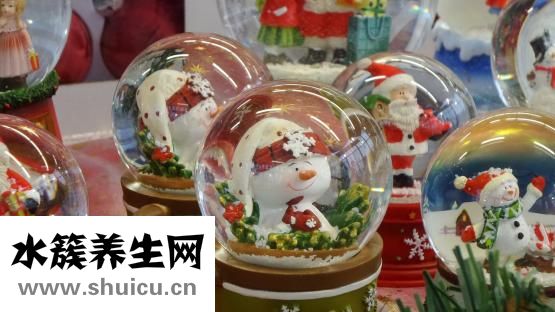 蝦仁豆腐羹