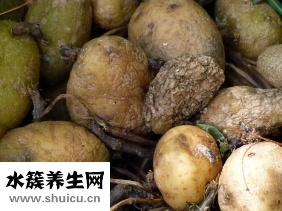 土豆豆角燉肉