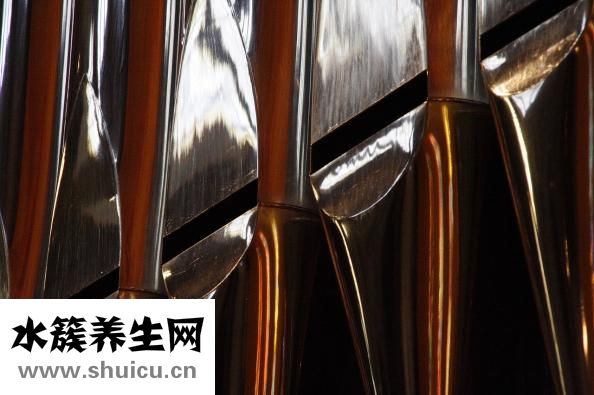 生物電理療