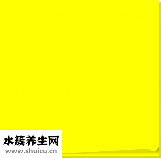 干猴頭菇怎么吃