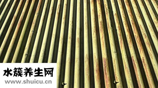 如何減肚子