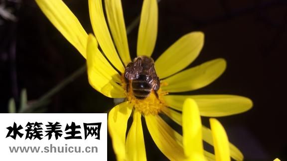 怎么減小肚子