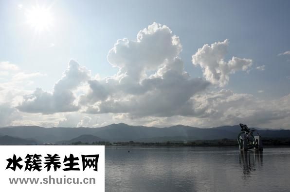 大三陽是什么
