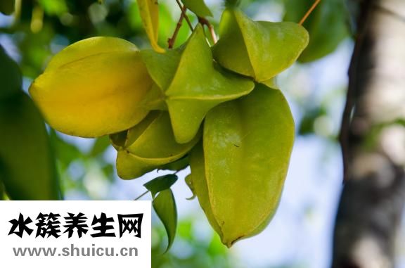 經期如何減肥