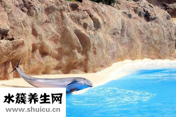 什么是人魚線