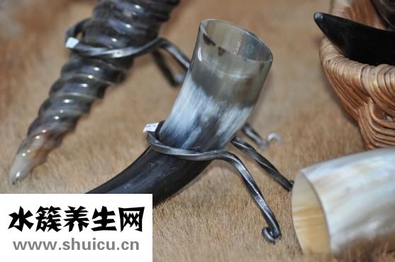 跳蚤怎么殺