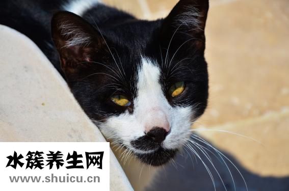 什么是紅眼病