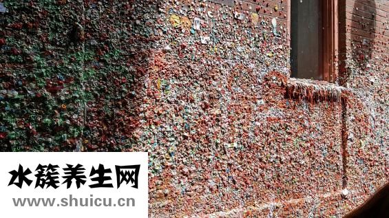 如何滅螞蟻