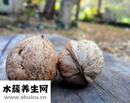 補腦的食物有哪些