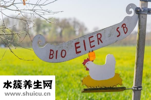 什么是標準差