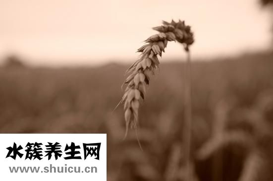什么是社交恐懼癥