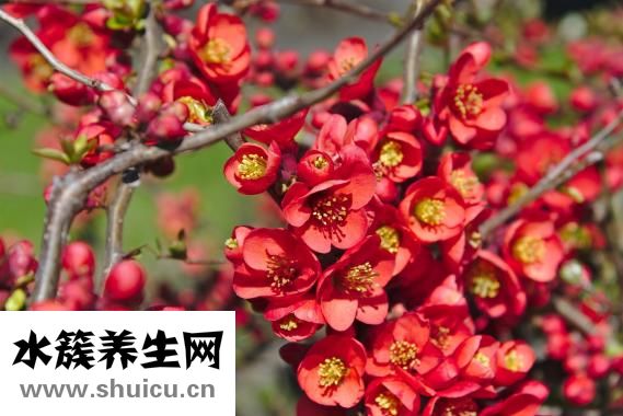 如何解決問題