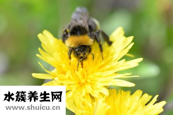 感覺是什么