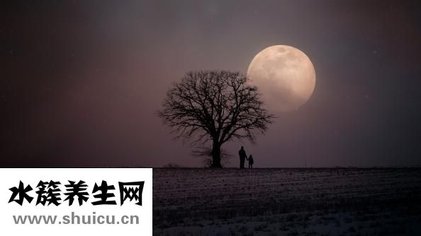 螞蝗怕什么