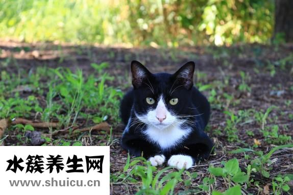 如何去眼部皺紋