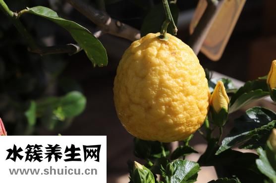 痛經吃什么藥好