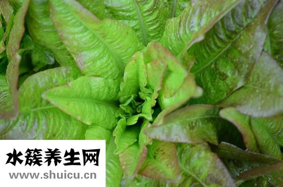 如何輕松減肥