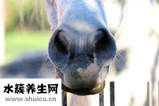 如何增高鼻梁