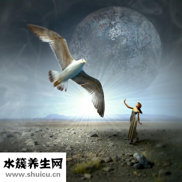 孕婦應該吃什么奶粉