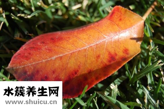 口臭怎么去除