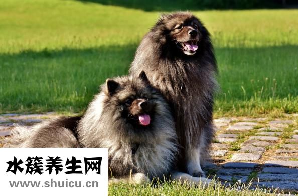 尿布疹怎么辦