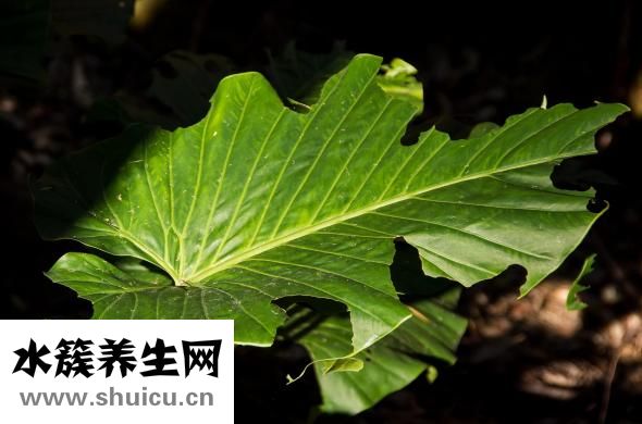 累了怎么辦