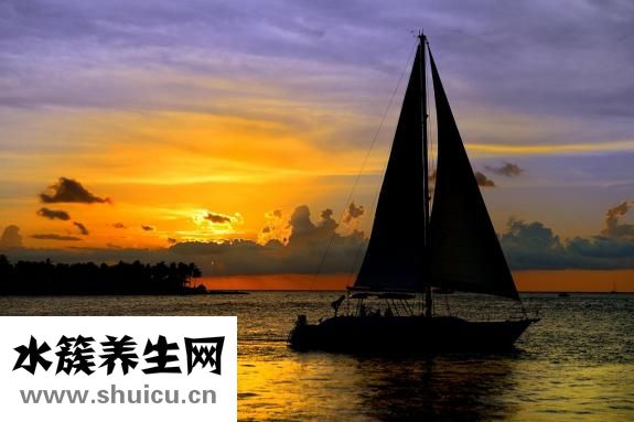 大寶滋潤霜怎么樣