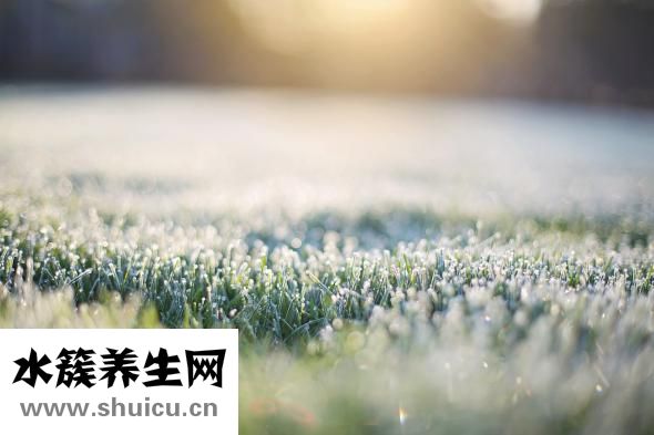 霜降吃什么